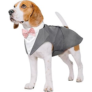 Kuoser Dog Tuxedo, Grey, Medium