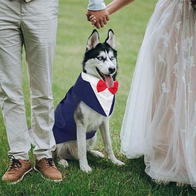Show full view: Kuoser Dog Tuxedo, Blue, Medium slide 6 of 9