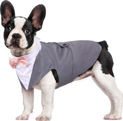 Kuoser Dog Tuxedo, Grey, Small