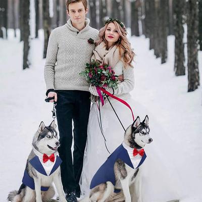 Show full view: Kuoser Dog Tuxedo, Blue, Medium slide 7 of 9