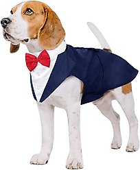 Kuoser Dog Tuxedo, Blue, Medium