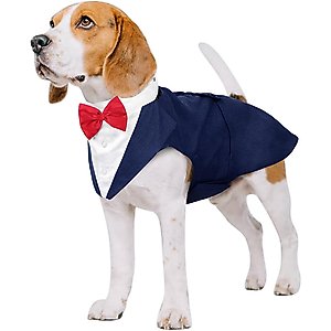 Hip Doggie Blue Gingham Dog Dress