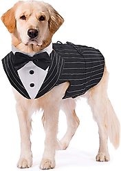 Kuoser Dog Tuxedo, Black Stripes, Large