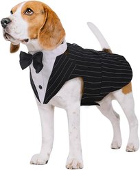 Kuoser Dog Tuxedo, Black Stripes, Medium