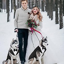 Kuoser Dog Tuxedo, Black, XX-Large slide 2 of 6