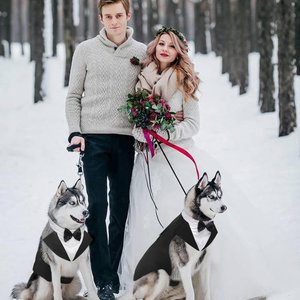 Kuoser Dog Tuxedo, Black, Large