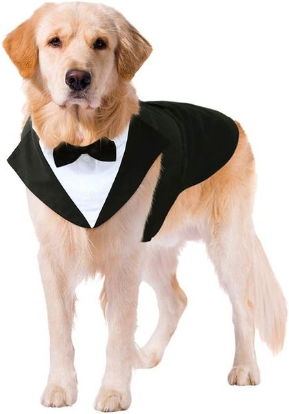 Kuoser Dog Tuxedo