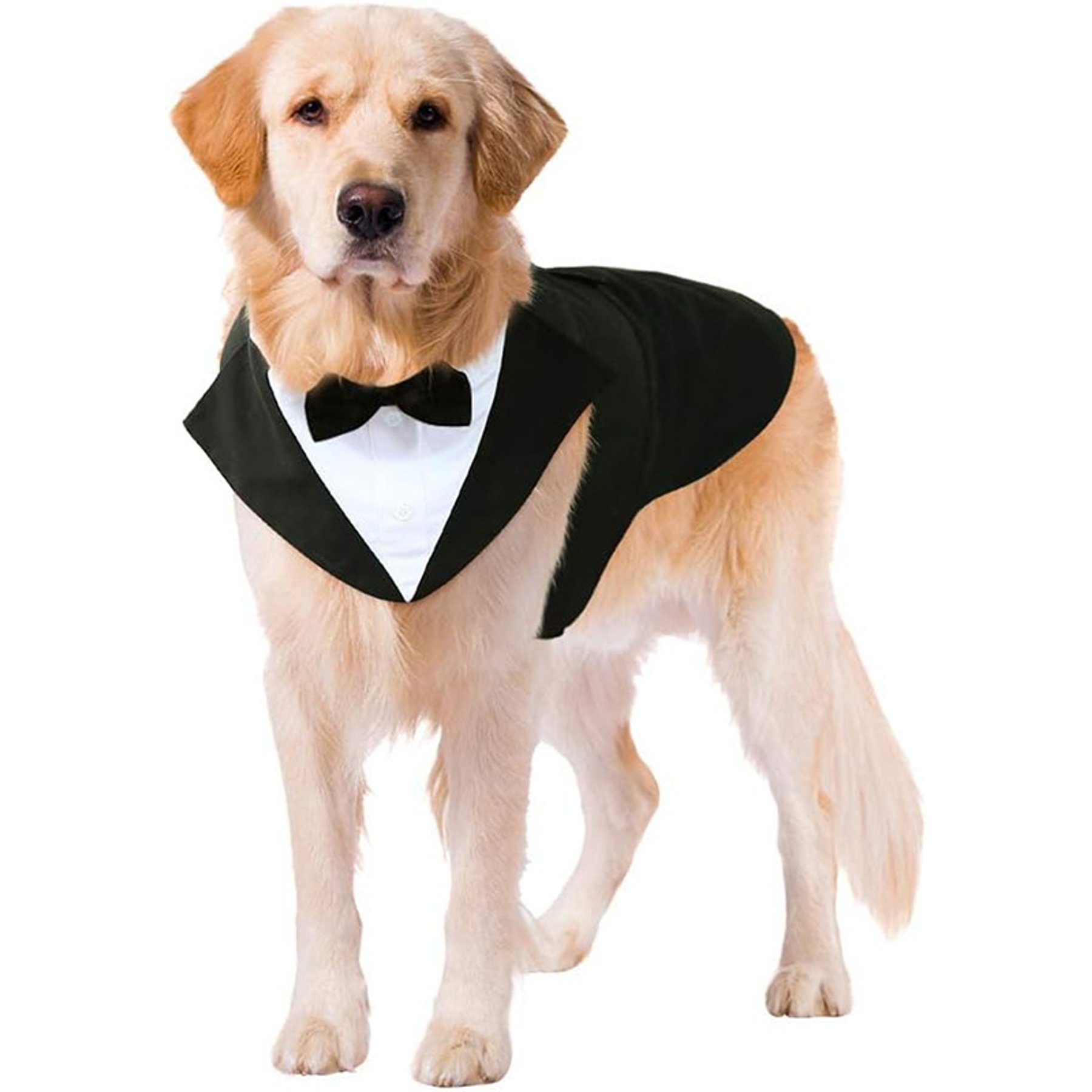 Kuoser Dog Tuxedo, Black, XX-Large