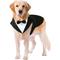 Show in main carousel: Kuoser Dog Tuxedo, Black, Large slide 1 of 8