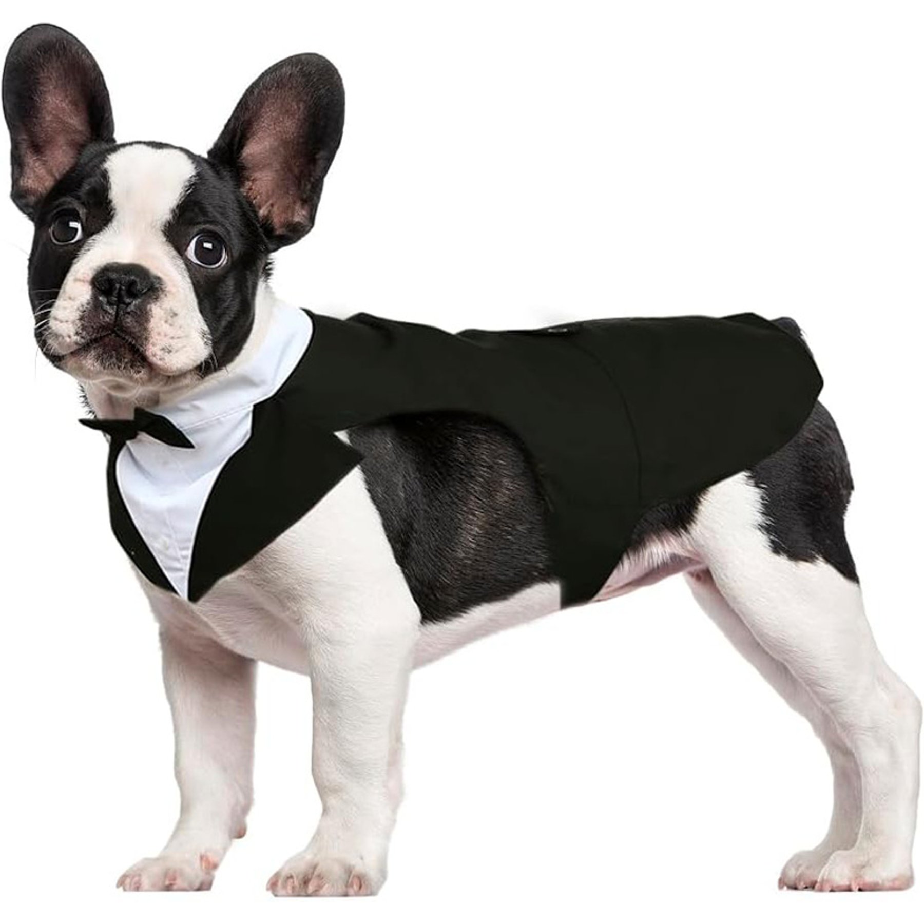 Kuoser Dog Tuxedo, Black, Small