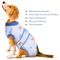 Show in main carousel: Kuoser Dog Recovery Suit, Blue, Medium slide 7 of 8