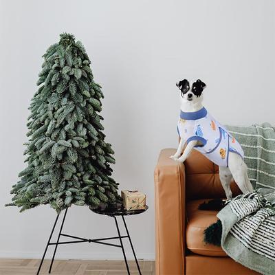 Show full view: Kuoser Dog Recovery Suit, Blue, Medium slide 6 of 8