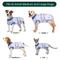 Show in main carousel: Kuoser Dog Recovery Suit, Blue, Medium slide 3 of 8