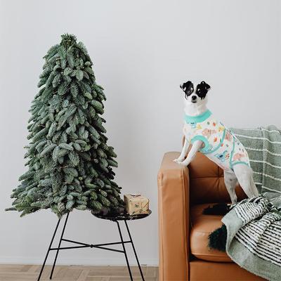 Show full view: Kuoser Dog Recovery Suit, Green, Small slide 7 of 8