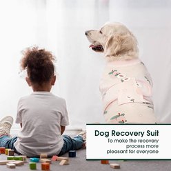 Kuoser Light Peach Pattern Dog Recovery Suit, X-Small slide 2 of 6