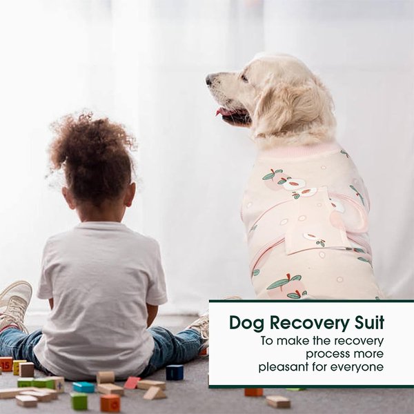 Show full view: Kuoser Dog Recovery Suit, Light Pink, Medium slide 5 of 7