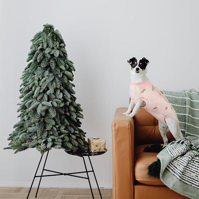 Show full view: Kuoser Dog Recovery Suit, Light Pink, XX-Large slide 6 of 7