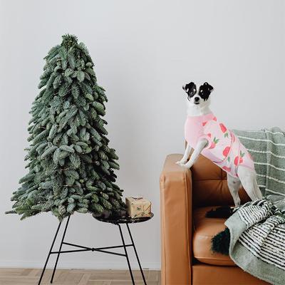 Show full view: Kuoser Dog Recovery Suit, Pink, Medium slide 7 of 9