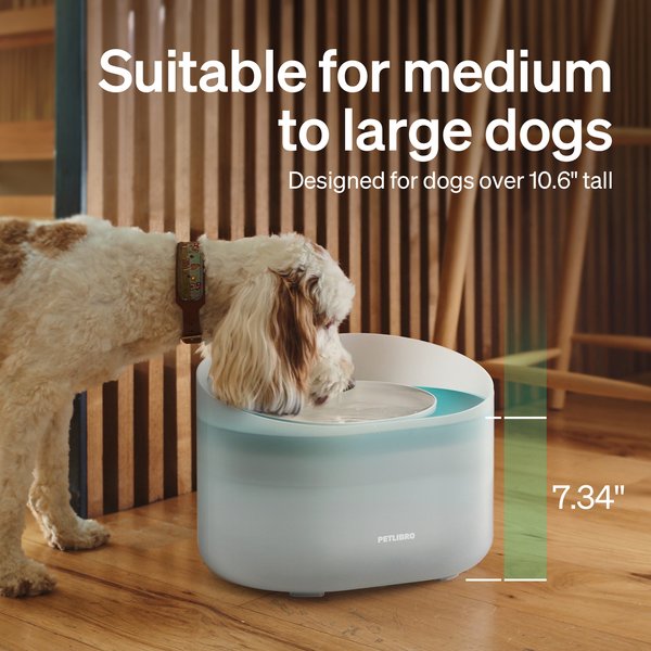 Show full view: Petlibro Capsule Ultra-Quiet Dog Water Fountain, White, 2.1-gal slide 5 of 12