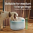 Show in main carousel: Petlibro Capsule Ultra-Quiet Dog Water Fountain, White, 2.1-gal slide 5 of 12