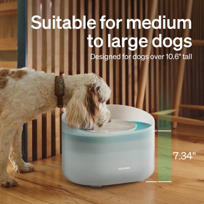 Show full view: Petlibro Capsule Ultra-Quiet Dog Water Fountain, White, 2.1-gal slide 5 of 12