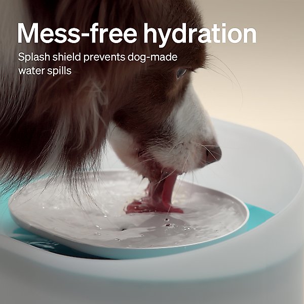 Show full view: Petlibro Capsule Ultra-Quiet Dog Water Fountain, White, 2.1-gal slide 3 of 12