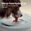 Show in main carousel: Petlibro Capsule Ultra-Quiet Dog Water Fountain, White, 2.1-gal slide 3 of 12