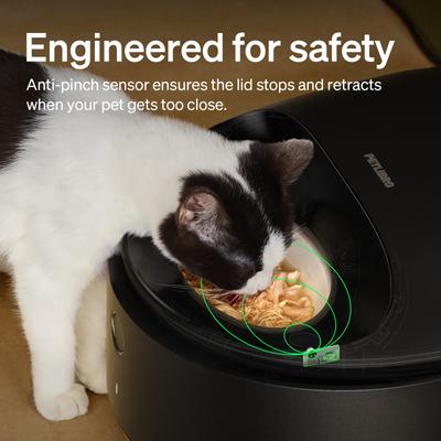 Show full view: Petlibro Polar Automatic Smart Dog & Cat Wet Food Feeder, 7.4-oz slide 8 of 14