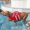 Show in main carousel: Kuoser Dog Lifejacket, Red, X-Small slide 6 of 7