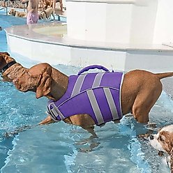 Kuoser Dog Lifejacket, Purple, X-Small slide 2 of 6