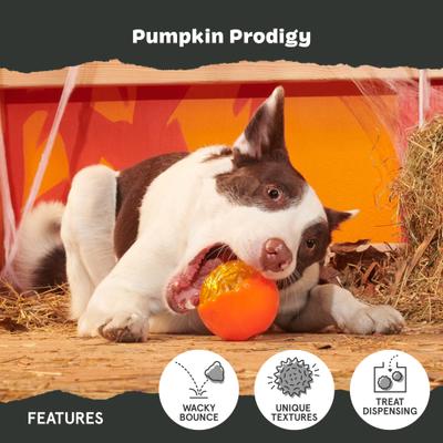 Show full view: BARK Pumpkin Prodigy Dog Toy, Orange, Medium slide 3 of 6