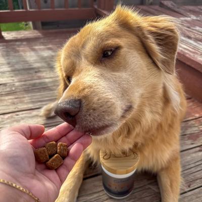 Show full view: BuddyRest Soothe Salmon Bites Skin & Coat Supplement for Dogs, 120 count slide 5 of 6