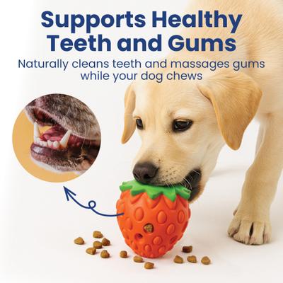 Show full view: PawsPik Strawberry Treat Dispensing Enrichment Dog Chew Toy slide 6 of 12