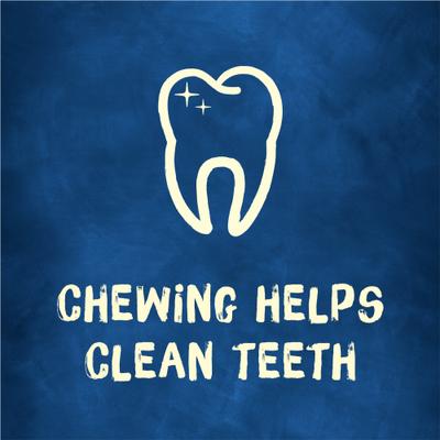 Show full view: Busy Bone with Beggin' Twist'd! Long-Lasting Cheddar & Hickory Smoke Small/Medium Dog Treats, 10 count slide 10 of 14