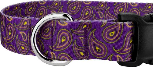 Show full view: Country Brook Design Deluxe Paisley Dog Collar, Purple, X-Large slide 8 of 8