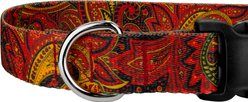 Country Brook Design Deluxe Paisley Dog Collar, Red, X-Large slide 2 of 5