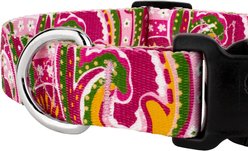 Country Brook Design Deluxe Paisley Dog Collar, Pink, X-Small slide 2 of 7