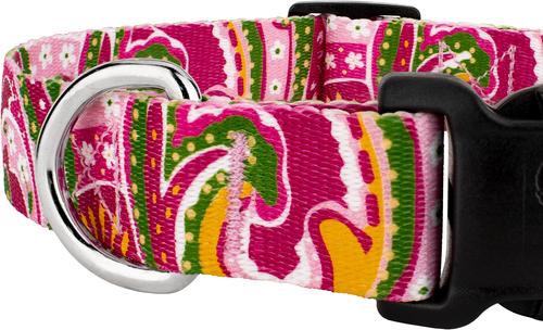 Show full view: Country Brook Design Deluxe Paisley Dog Collar, Pink, X-Small slide 7 of 7