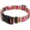 Show in main carousel: Country Brook Design Deluxe Paisley Dog Collar, Pink, X-Small slide 5 of 7