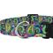 Show in main carousel: Country Brook Design Deluxe Paisley Dog Collar, Yellow, Large slide 6 of 6