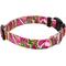 Show in main carousel: Country Brook Design Deluxe Paisley Dog Collar, Pink, X-Small slide 6 of 7