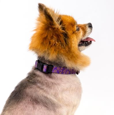 Show full view: Country Brook Design Deluxe Paisley Dog Collar, Purple, X-Large slide 4 of 8