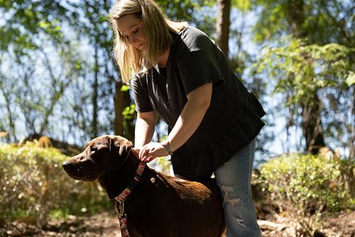 Show full view: Country Brook Design Deluxe Paisley Dog Collar, Pink, X-Small slide 2 of 7