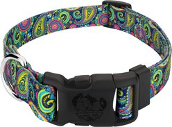Country Brook Design Deluxe Paisley Dog Collar, Yellow, Medium