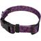 Show in main carousel: Country Brook Design Deluxe Paisley Dog Collar, Purple, X-Large slide 6 of 8