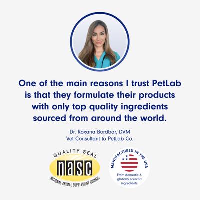 Show full view: PetLab Co. Mobility Pro Joint Support Oil Supplement for Dogs, 5-fl oz slide 3 of 8