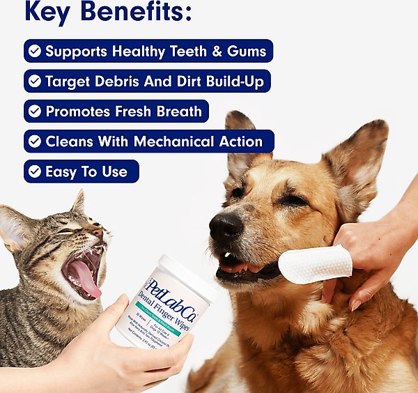 Show full view: PetLab Co. Dental Finger Wipes for Dogs, 30 count slide 3 of 8
