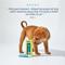 Show in main carousel: Pet Life Unlimited Paw Relief Serum for Dogs, 1-oz tube slide 4 of 11