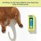 Show in main carousel: Pet Life Unlimited Paw Relief Serum for Dogs, 1-oz tube slide 2 of 11