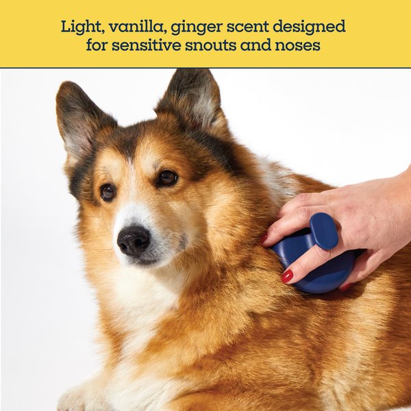 Pet Life Unlimited Dry Shampoo Powder Refills for Dogs, Vanilla Ginger, 3 count